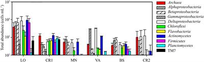 Adaptation of Microbial Communities to Environmental Arsenic and Selection of Arsenite-Oxidizing Bacteria From Contaminated Groundwaters